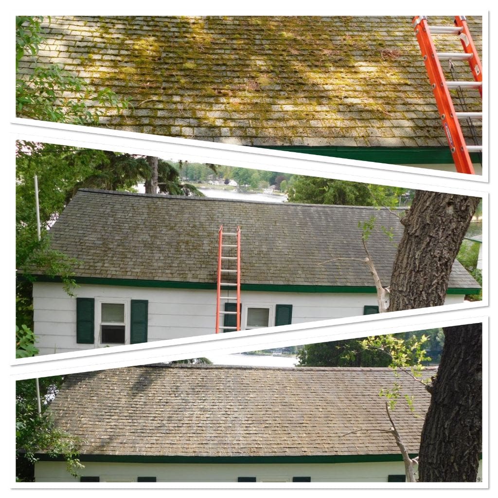 Moss Removal from Roof in Sage Lake, MI